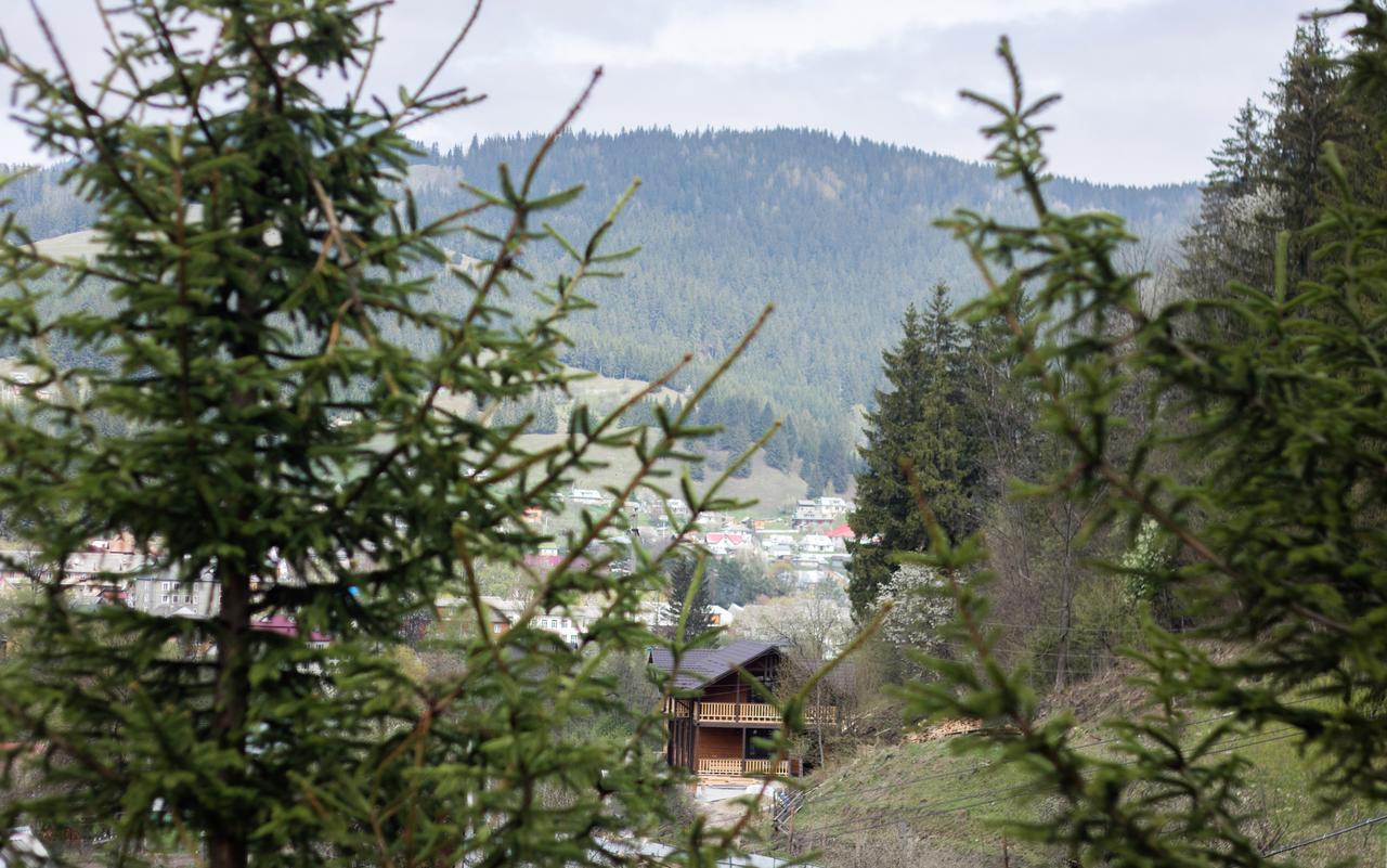 Karpatska Oselia Vila Verkhovyna Exterior foto