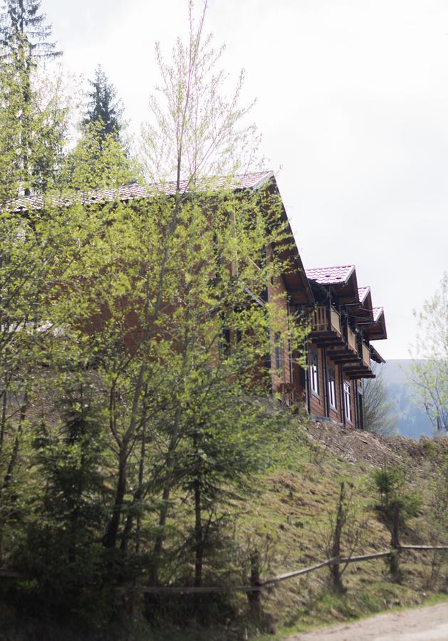 Karpatska Oselia Vila Verkhovyna Exterior foto